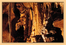 Obrázek č. 1, Výletky, No. 39 - Javoříčské jeskyně