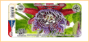 Obrázek č. 1, Nálepky, No. 2257 - Botanická zahrada Zemědělské školy Tábor
