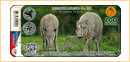 Obrázek č. 1, Nálepky, No. 158 - Zoo Jihlava - Babirusa sulaweská
