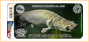Obrázek č. 1, Nálepky, No. 3065 - Vodní miniZOO Baška